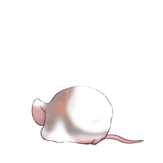 Adopt a Strange Mouse Mouse