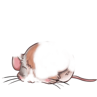 Adopt a Angora Mouse