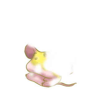 Adopt a Softness Mouse