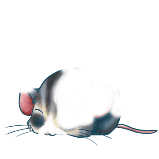 Adopt a Blue grey Mouse