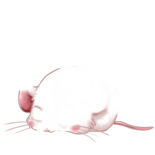 Adopt a Flunsh Mouse