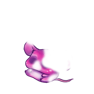 Adopt a Irisor Mouse