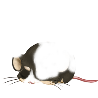 Adopt a Rose Quartz Mouse