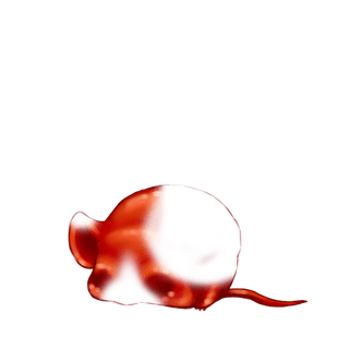 Adopt a Sequins Mouse